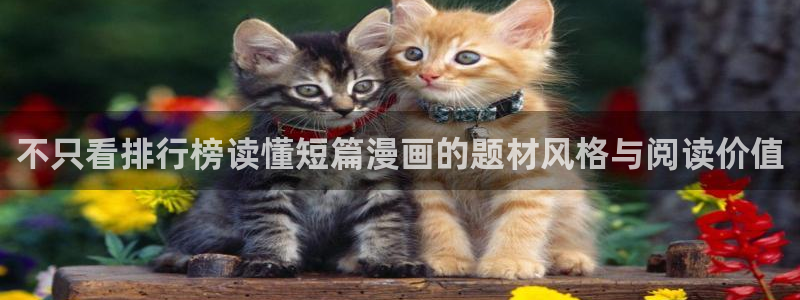 梦漫漫画阅读榜:不只看排行榜读懂短篇漫画的题材风格与阅读价值